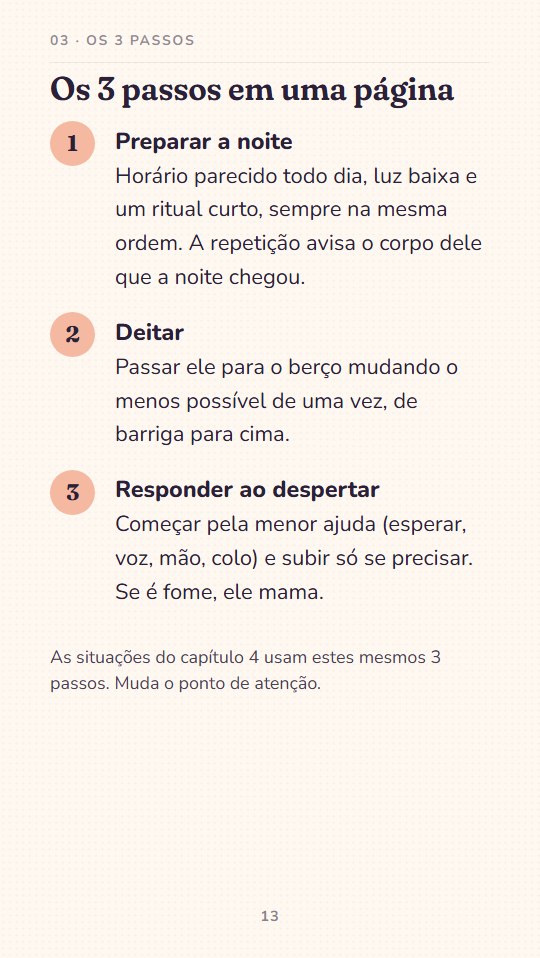 Página 13 do guia: os 3 passos em uma página